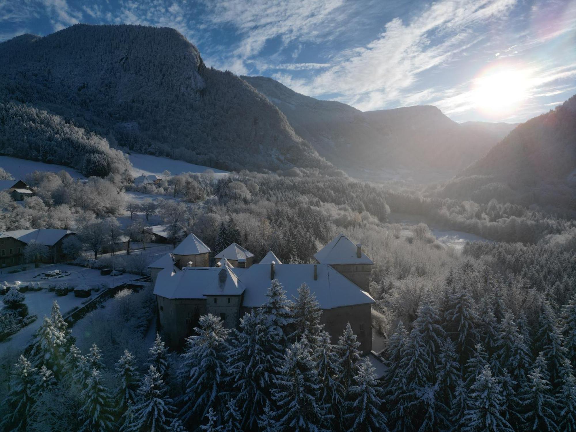 Chateau De Thorens Exteriör bild